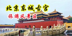 美女操屄图中国北京-东城古宫旅游风景区